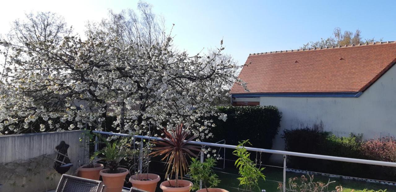 Chambre D'Hote - La Ruche Des Bleuets Mulsanne Kültér fotó